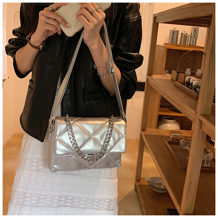 Borsa da donna New S a spalla singola Borsa a tracolla in argento squisito di fascia alta Borsa quadrata piccola con tracolla larga_voghion.com