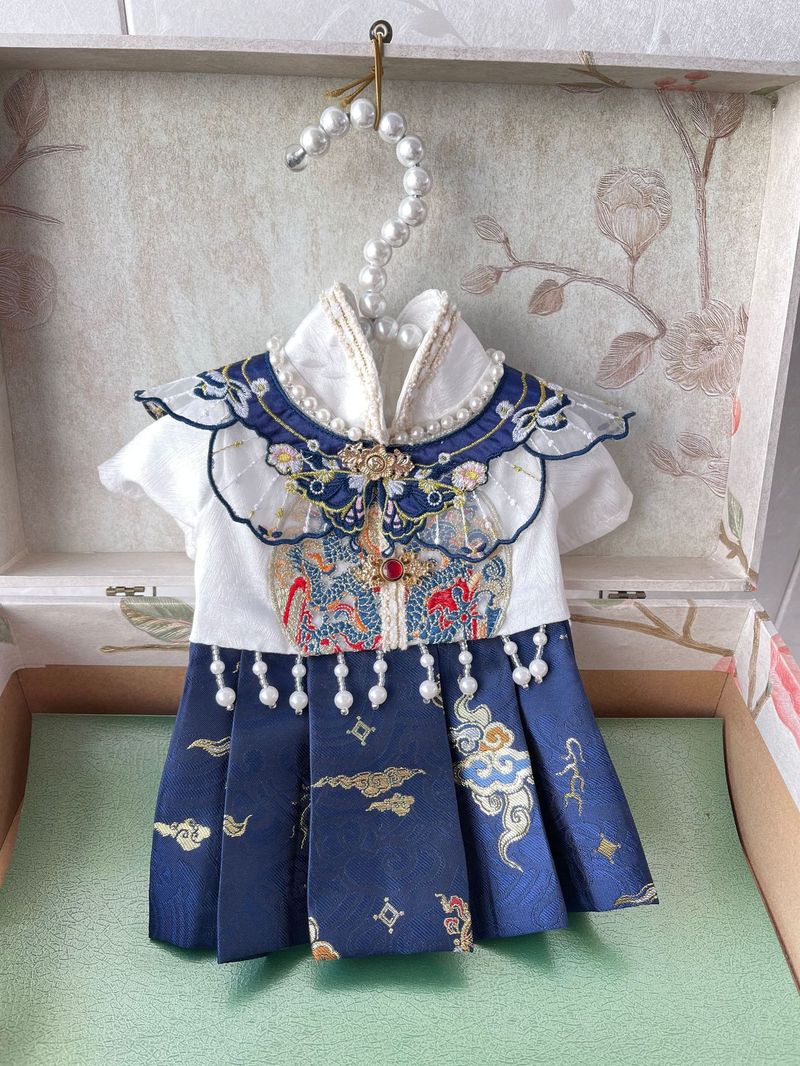 2024 neue Drachen Muster Chinesischen Haustier Kleid Pferd Gesicht Rock Katze Hund Kleidung Alten Stil_voghion.com