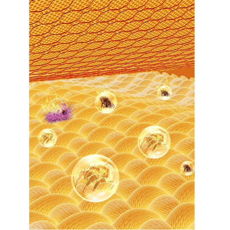 Zhigao Blanket Single Double Dual Control Temperature Adjustment Home Smart Student Dormitory Electric Mattress_voghion.com