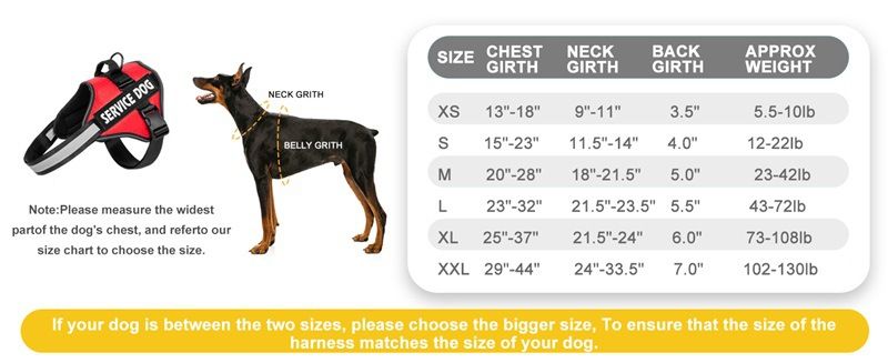 Guinzaglio per cani in pelle PU riflettente con imbracatura anti-groviglio e design retrattile per cani_voghion.com