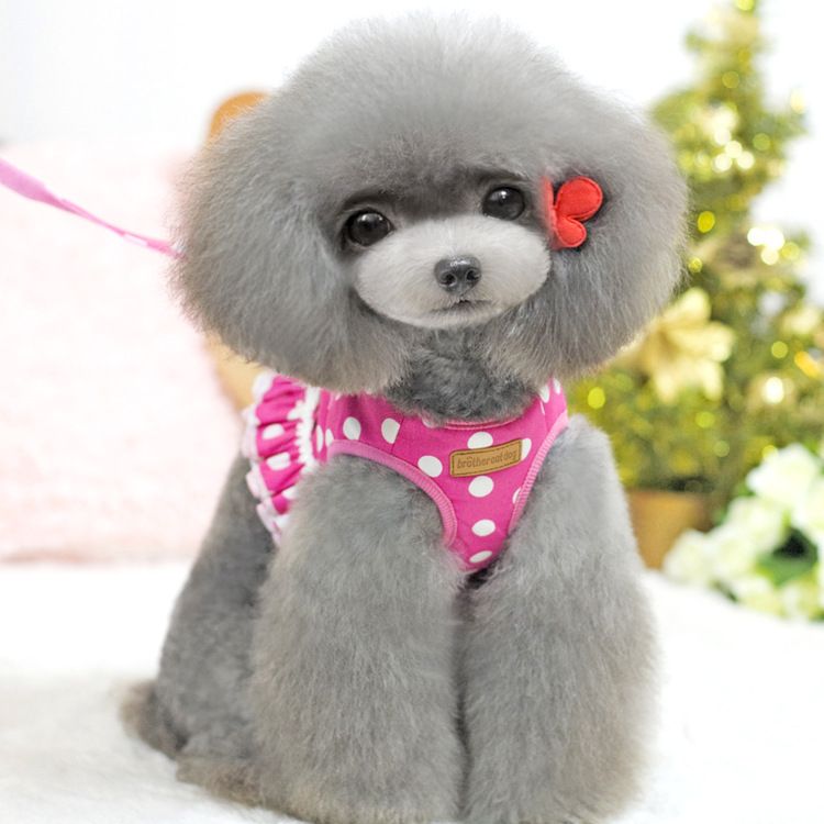 Puppy New Cat Vest-Style Pet Harness Leash_voghion.com