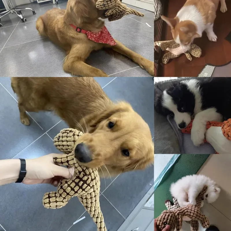 Plüsch-Dinosaurier-Spielzeug, quietschend, süß, bissfest, Cordspielzeug für kleine und große Hunde, Welpenspielzeug, Hundezubehör von PawParty Store_voghion.com