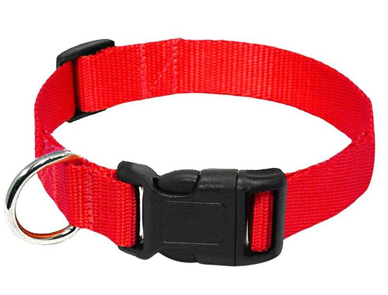Durable Nylon Dog Collar Neck Strap Leash Pet Supplies_voghion.com
