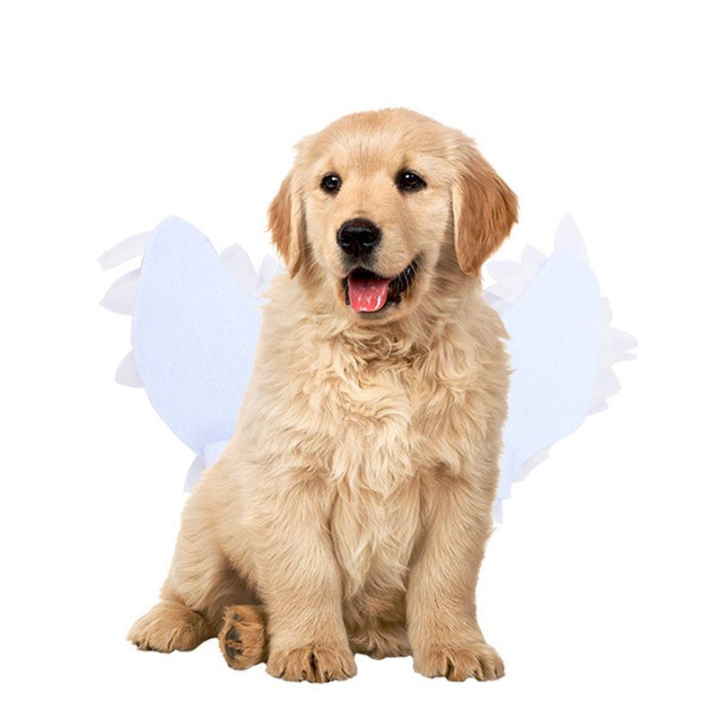Costume di trasformazione artificiale per cane di Halloween, decorazione per la schiena dell'animale domestico, ali d'angelo_voghion.com