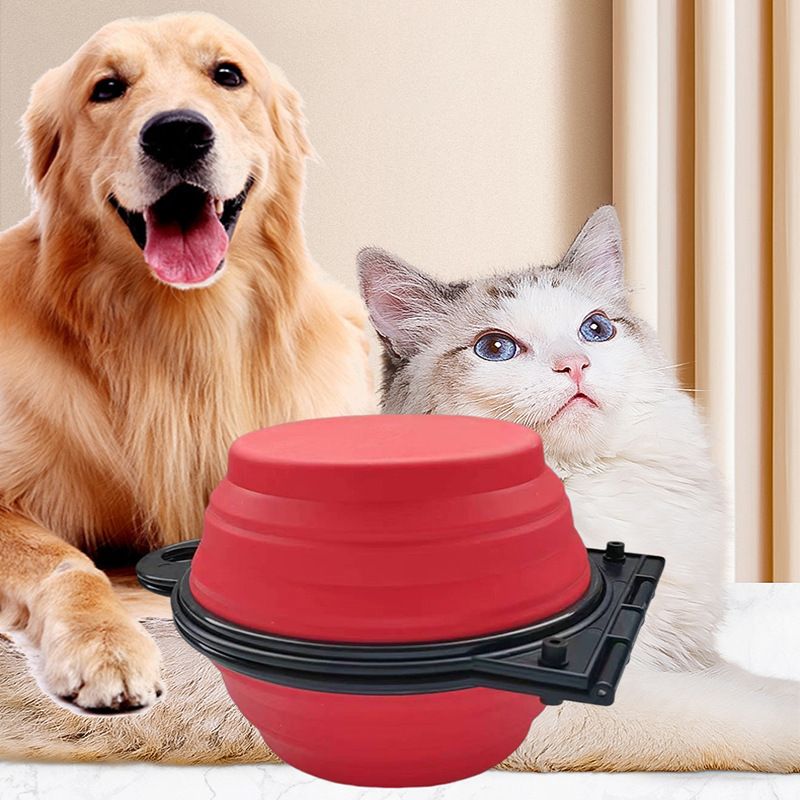 Comedero plegable de plástico 2 en 1 para perros de PawParty Store_voghion.com