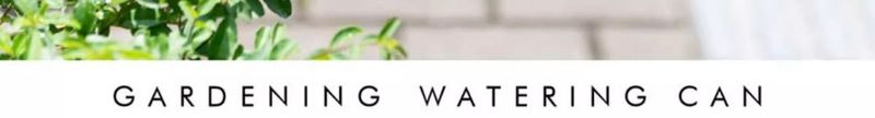【 98% Positive Review Rate 】 Watering Kettle, Household Long Spout Sprayer, Large Capacity Succulent Gardening Artifact,_voghion.com