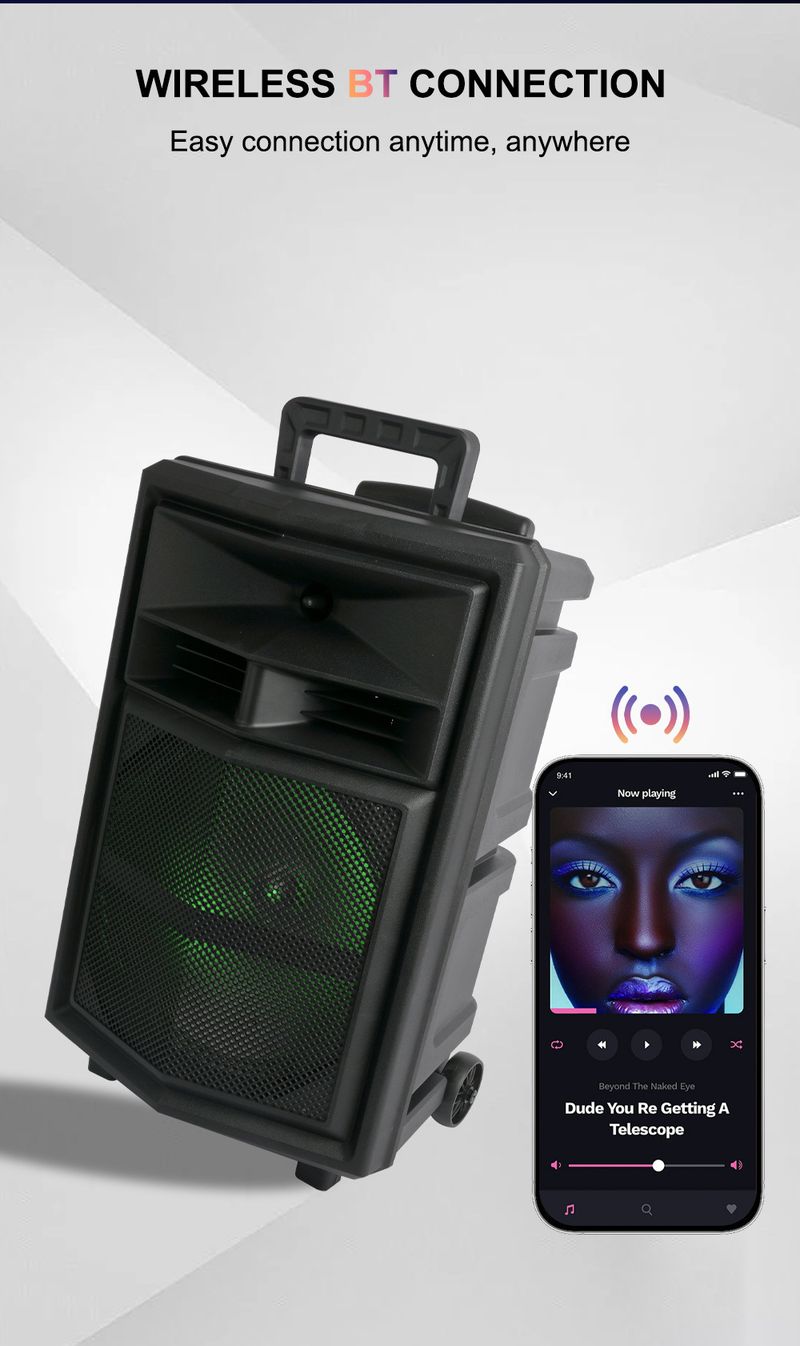 ZQS12130 suure võimsusega välitantsu helikaraoke mobiilne varraskõlar_voghion.com