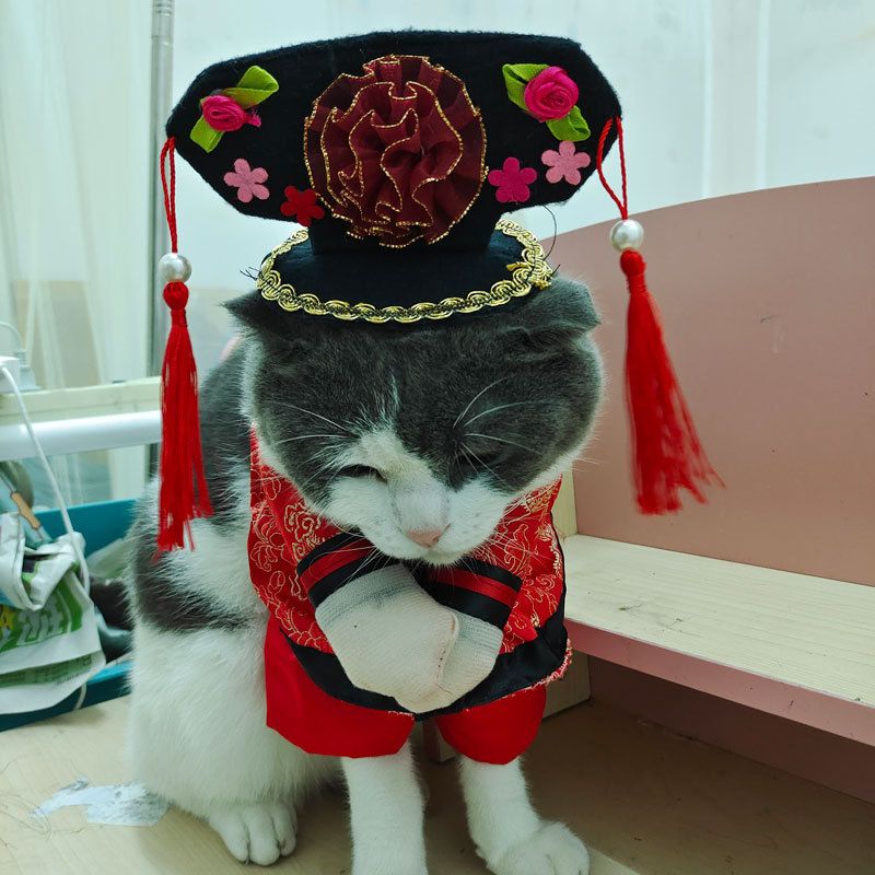 Spring And Autumn Pet Clothing Cute Funny Quirky Costume Hilarious Cat Dog Clothes Standing Transformation Outfit 3D_voghion.com