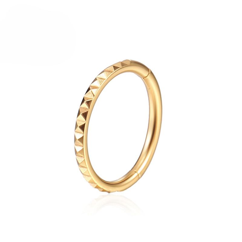 F136 Titan Nasenring Hoop Sexy Ohrringe Piercing Clicker Daith Helix Knorpel Septum Tragus Körper Scharnier Segment Schmuck_voghion.com