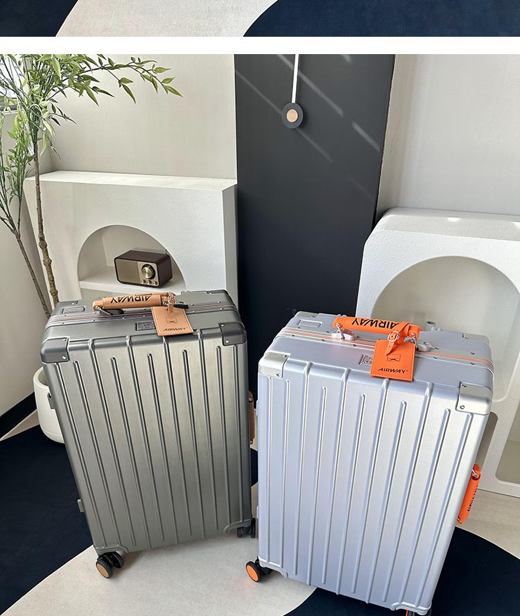 Airway Multifunctional Suitcase Female Aluminum Frame Trolley Case Male Password Case Large Capacity Suitcase Boarding Case 20PC_voghion.com