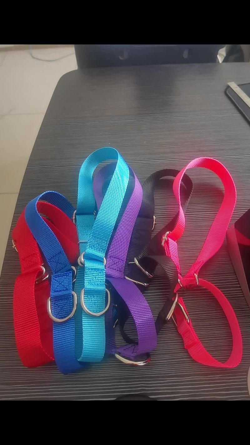 Durable Nylon Martingale Dog Collar, Adjustable Soft Puppy Collar For Small And Large Dogs, Training Control, Prevents_voghion.com