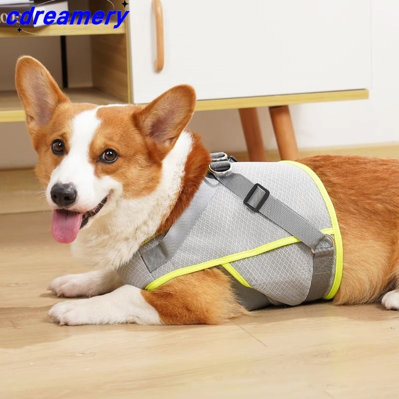 Giacca estiva in rete traspirante per cani, giacca antifreddo regolabile per cani di taglia grande e piccola._voghion.com