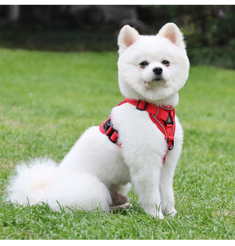 Pet Products Dog Traction Rope Vest Pet Cat Chest Harness Reflective Breathable Cat Walking Rope Puppy Rope_voghion.com