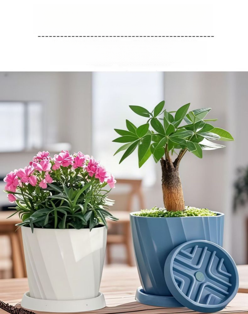 Pianta grassa verde in vaso piccolo, minimalista, addensata, in resina creativa, doppia, in vaso piccolo._voghion.com