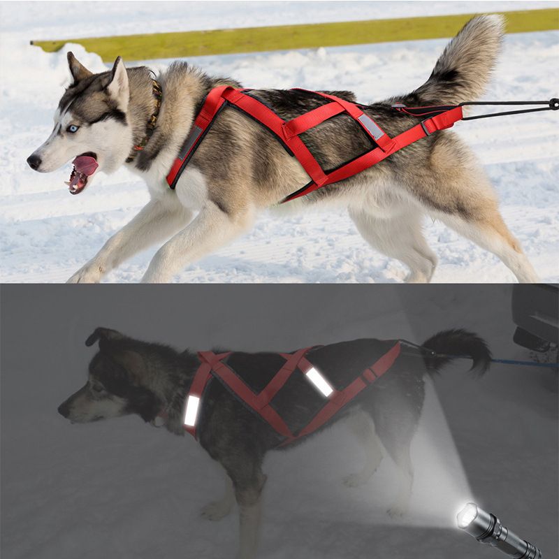 Sled Weight Training Explosion-Proof Husky Rope Medium And Large Dog Pulling Harness_voghion.com