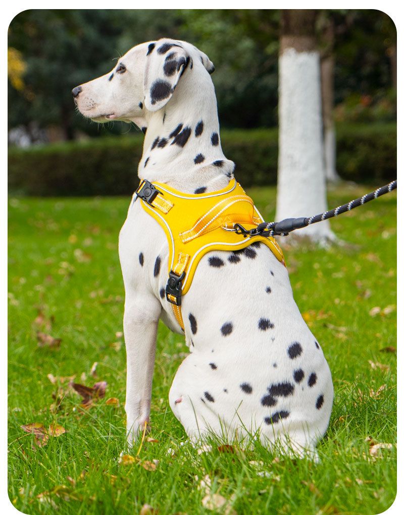 2025 New Pet Harness Saddle Shape Lightweight Dog Walking Leash For Small And Medium Dogs_voghion.com