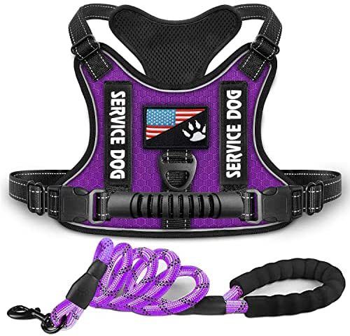 New Explosion-Proof Shock Absorption Night Vision Reflective Pet Chest Harness Vest-Style Leash_voghion.com