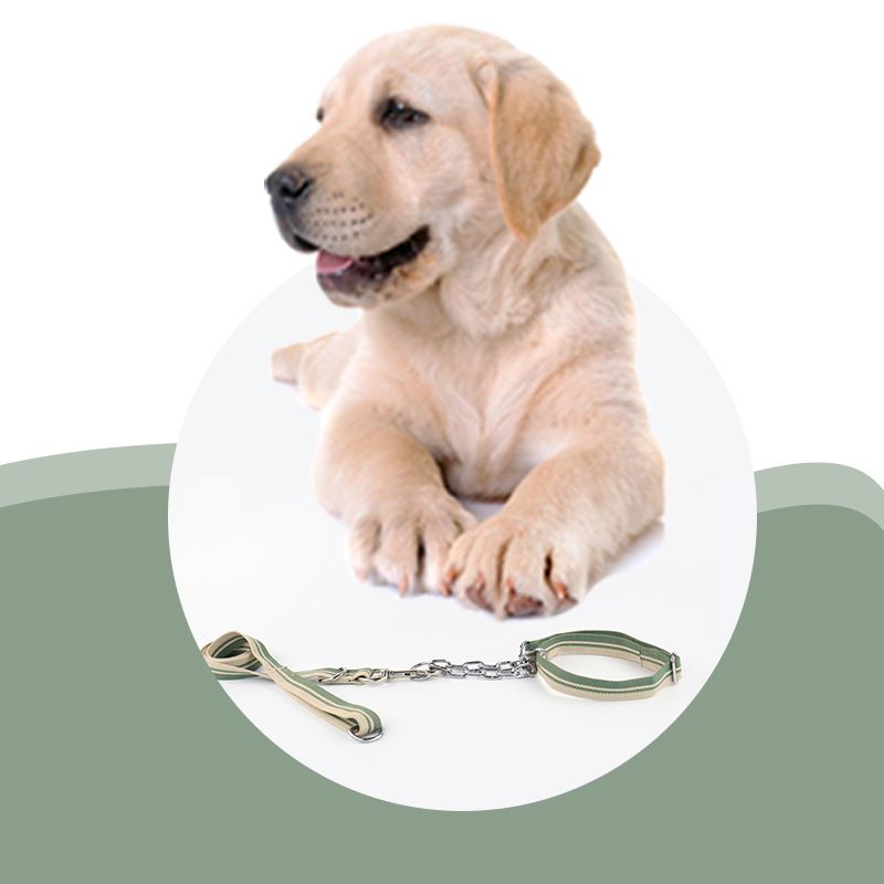 Pet Supplies Collar Leash Training P Chain Medium And Large Dog Walking Rope_voghion.com