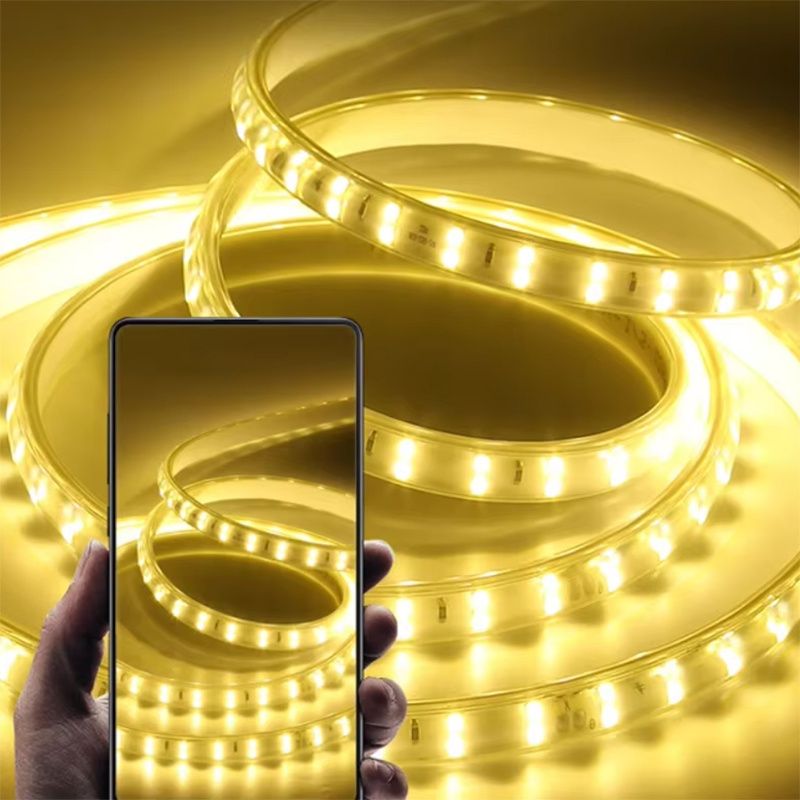 220V Led Strip 1-30m With Eu Plug 2835 Flexible Ribbon Light Waterproof Led Tape For Home Kitchen Outdoor Garden Decor Lighting_voghion.com