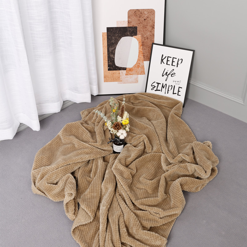 Coperta di ananas in maglia solida invernale giapponese Coperta di flanella di velluto Beibei Coperta di aria condizionata per ufficio estivo_voghion.com