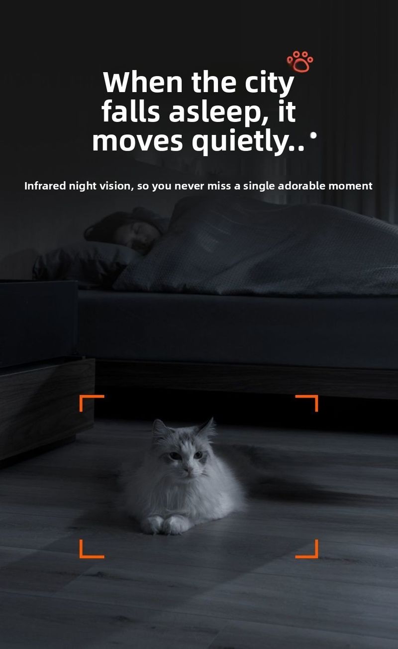 Distributeur automatique de nourriture sans fil Michi avec minuterie pour chiens et chats_voghion.com
