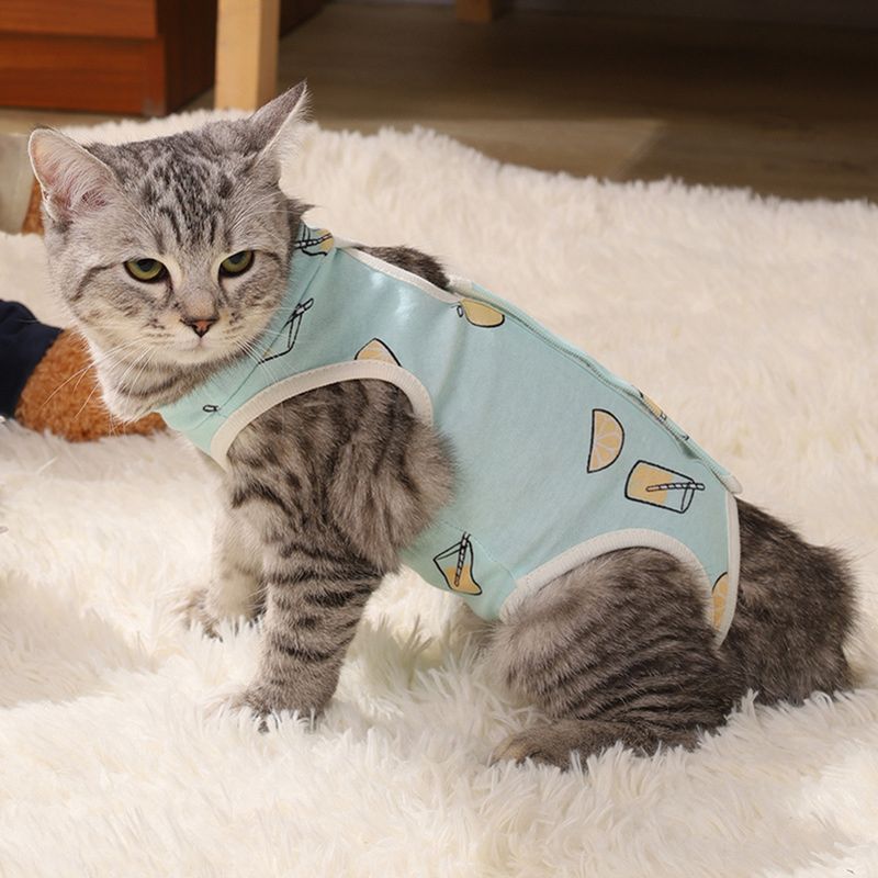 CDDMPET Sterilization Vest For Cats By PawParty Store_voghion.com
