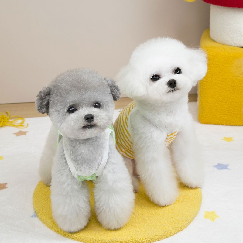 Vêtements pour chiots, printemps-été, fournitures pour animaux de compagnie, vêtements pour chats, 25 sangles fines à rayures en gaze_voghion.com