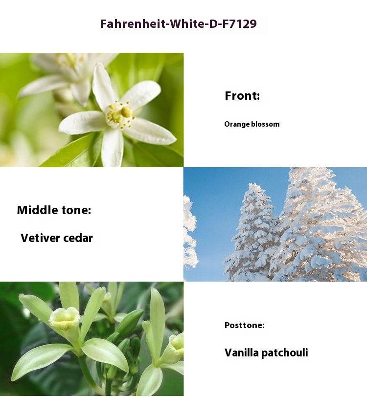 Novi parfem Fahrenheit Temperature Perfume, prirodan i postojan miris, Gulong Ice Point, muški parfem, sprej_voghion.com