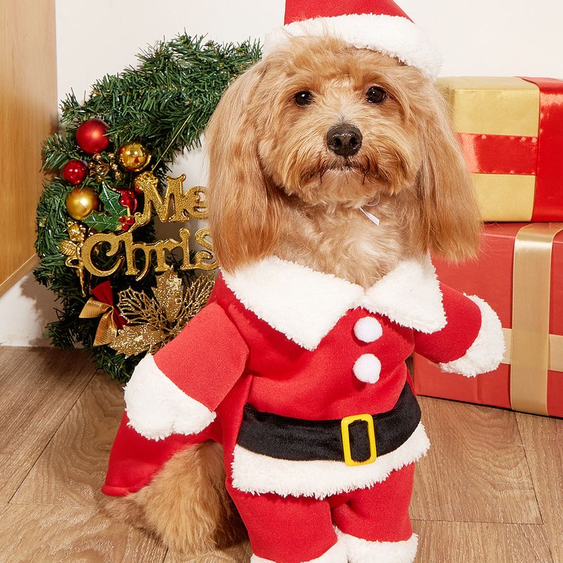 Santa Claus Clothes Autumn Winter Cat Pet Apparel Teddy Small Dog Transformation Outfit_voghion.com