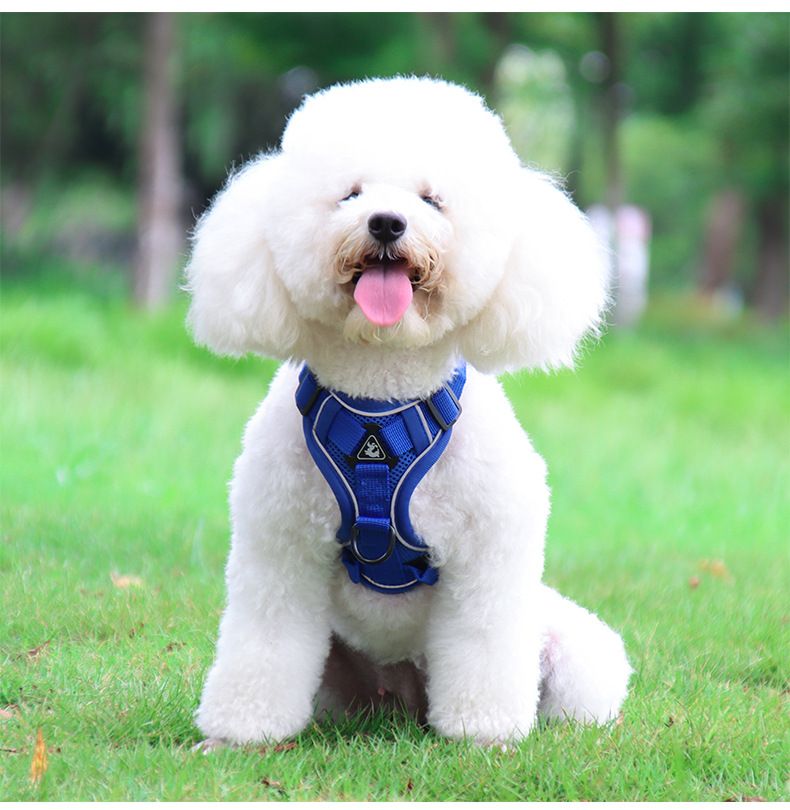 Pet Products Dog Traction Rope Vest Pet Cat Chest Harness Reflective Breathable Cat Walking Rope Puppy Rope_voghion.com