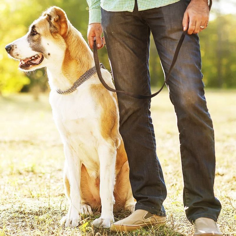 Top Layer Medium And Large Leash Malinois German Shepherd Genuine Leather Dog Chain Cowhide Pet Supplies_voghion.com
