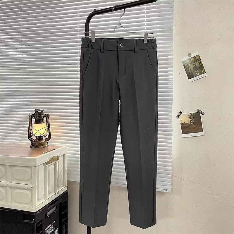 Light And Mature Style Pants Men's Autumn And Winter Double-pleated Elastic Waist Men's Trousers Micro-cone Trousers Korean Version Straight-leg Suit_voghion.com