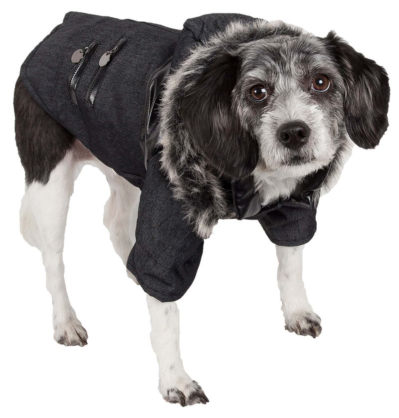 Ruff-Choppered Denim Fashioned Wool Pet Coat_voghion.com