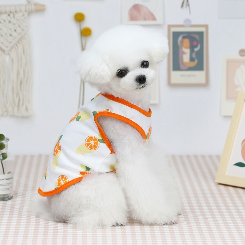 Sommer Neue Teddy Hund Haustier Kleidung 21 Bunte Obst Tank Top Nette Dünne Stil_voghion.com