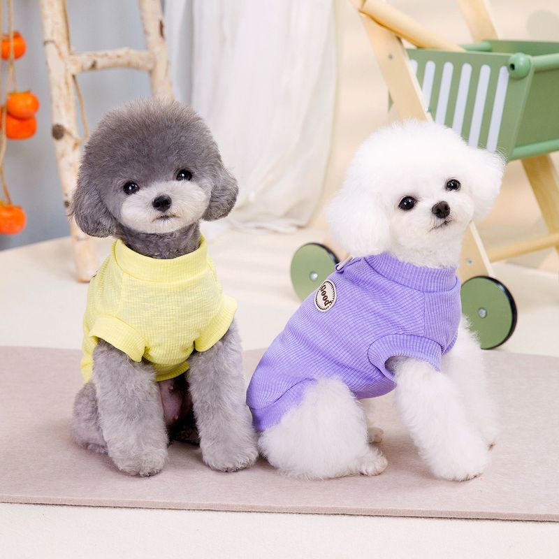 Abbigliamento per cani Primavera/Estate Orsetto Teddy Canotta per animali domestici 24 T-shirt dinamica a tre colori_voghion.com