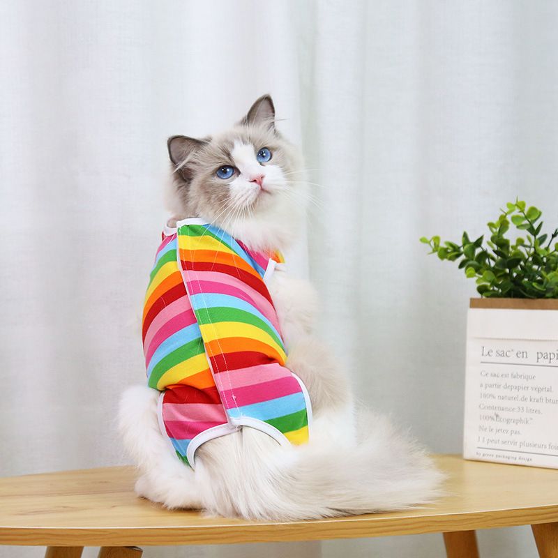 Combinaison de stérilisation post-opératoire pour chat, série Fruit, vêtements pour animaux de compagnie quatre saisons, couverture complète pour petits et moyens chiens_voghion.com