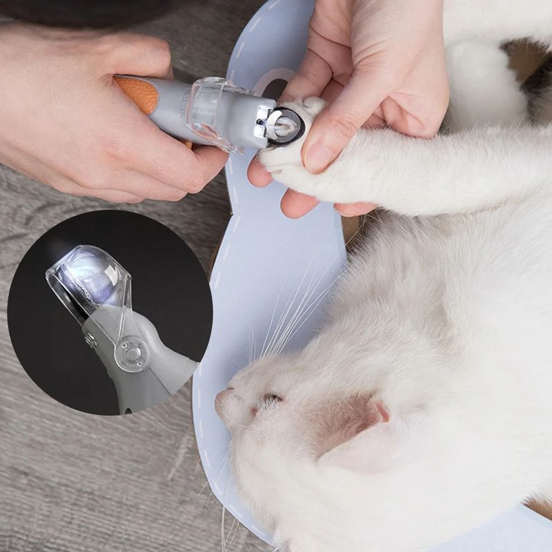 Ciseaux pour griffes d'animaux en acier inoxydable, par PawParty Store_voghion.com