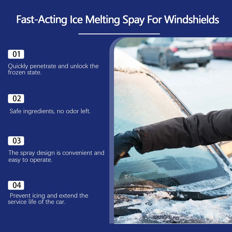 Rayhong Car Windshield Defogging And Deicing Quick Snow Melt Spray_voghion.com