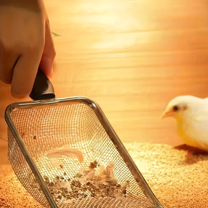 1 pz Paletta per lettiera in acciaio inox per animali domestici Paletta per WC per forniture per cani e gatti_voghion.com