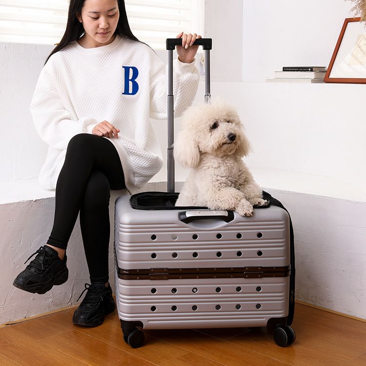 Pet Trolley Cat Capacity Two Medium And Large Pets Outgoing Bag Transparent Travel Box Portable Dog_voghion.com