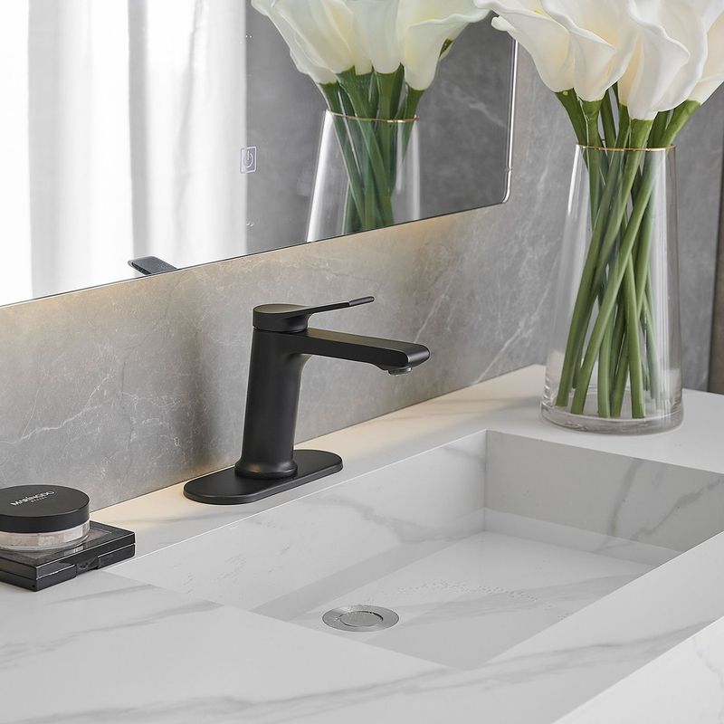 Single Hole Single-Handle Bathroom Faucet In Matte Black_voghion.com