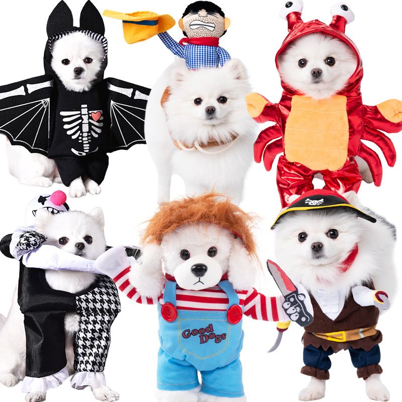 Halloween-Hundekleidung für kleine Hunde, lustiges und skurriles Transformations-Outfit, Teddy-Katze, kreative Haustierbekleidung_voghion.com