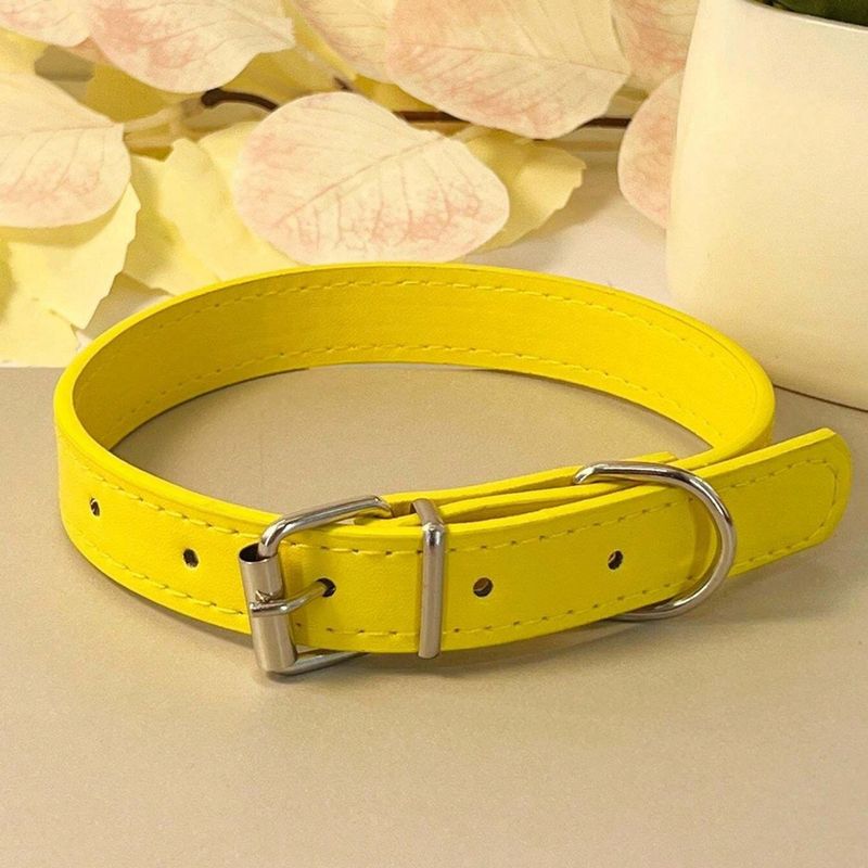 Collare piatto in pelle per cani e gatti, semplice, con campanellino, multicolore, anti-soffocamento_voghion.com