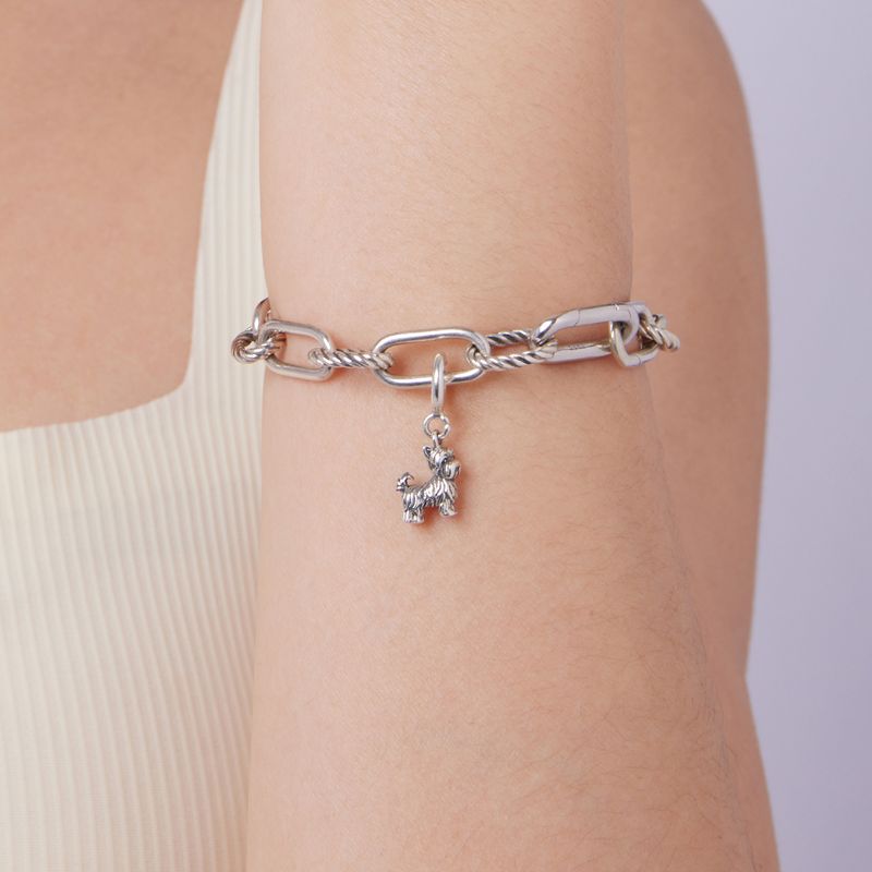 Yorkshire Terrier Locket Pendant Charm Sterling Silver Charm_voghion.com