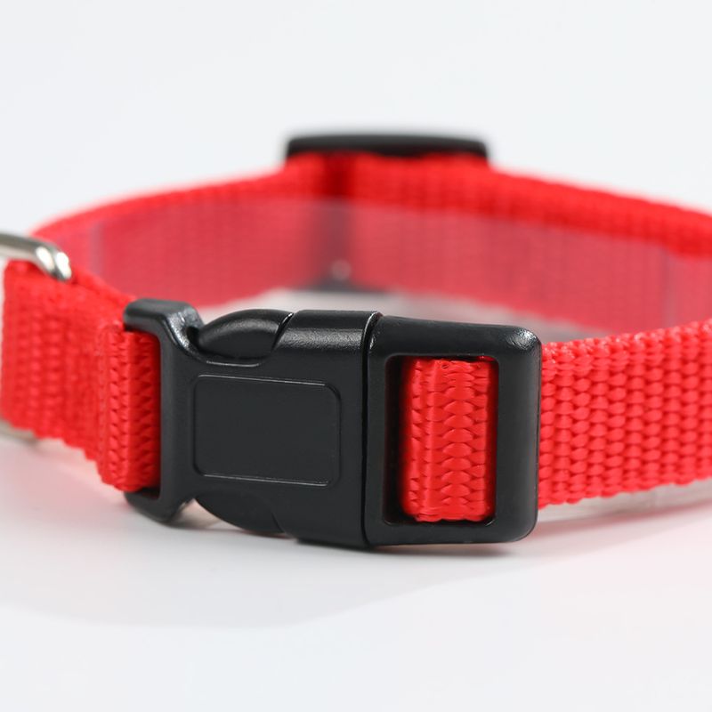 D Buckle Adjustable Polypropylene Leash Teddy Walking Large Medium Dog Neck Collar Pet Supplies_voghion.com