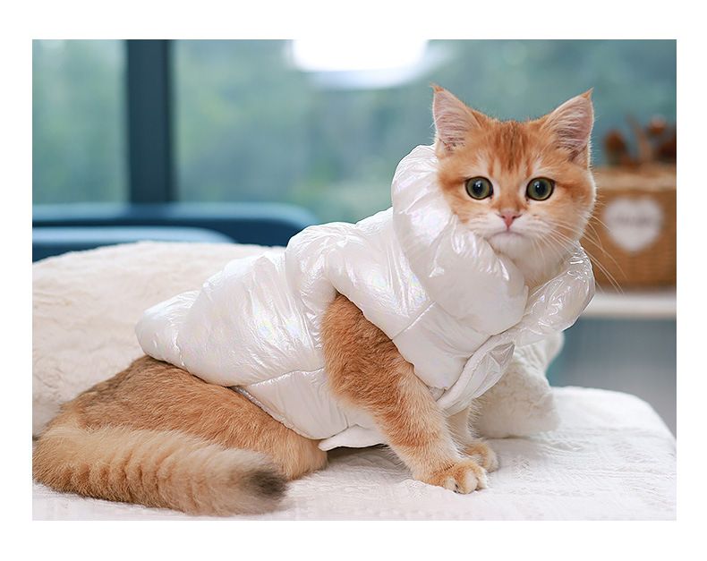 Nieuwe katoenen jas, vest, kattenkleding, honden donsjack, herfst- en winterkleding voor huisdieren_voghion.com