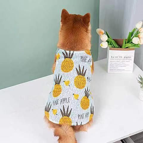Kleine Hunde- und Katzenkleidung, Sommer, atmungsaktives Mesh, kurze Weste, Sonnenschutzkleidung für Katzen, Teddy, Bichon, Pommersche, Haustier_voghion.com