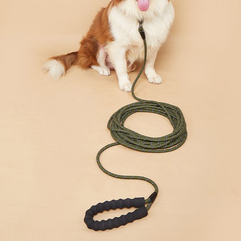 Guinzaglio per animali domestici, addestramento speciale per l'auto-aiuto esteso per passeggiate con il cane_voghion.com