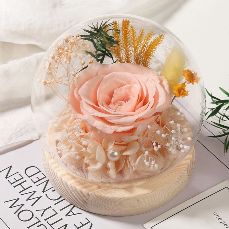 Cupola in vetro con rose stabilizzate - Rose vere di alta qualità + copertura in vetro spesso, luce LED con USB, regalo per San Valentino/Qixi/compleanno/matrimonio/laurea_voghion.com