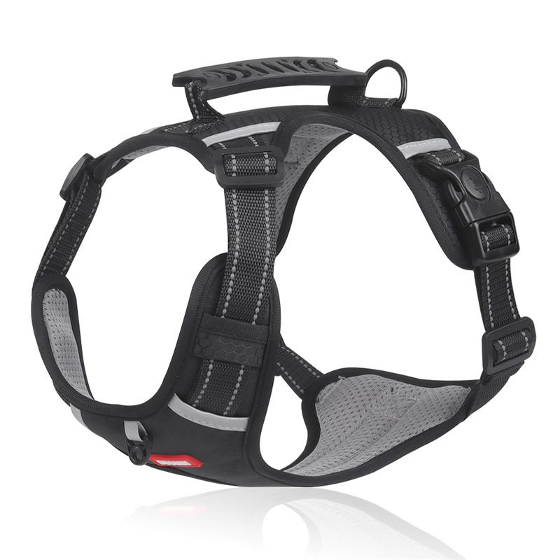 Pettorina per cani di piccola e grande taglia, con guinzaglio di sicurezza regolabile, imbracatura riflettente per cani, guinzaglio per passeggiate Bulldog francese_voghion.com
